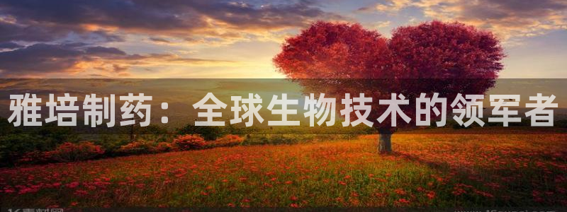 ag九游会老哥