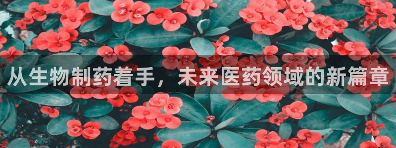 九游老哥俱乐部官网登录网址