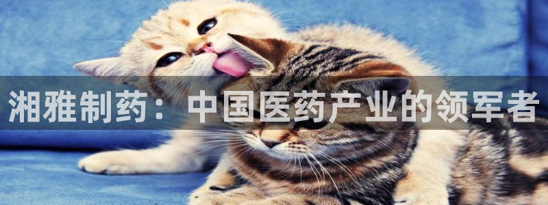 九游会老哥俱乐部官网首页论坛：湘雅制药：中国医药产业的领军者